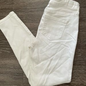 Celebrity Pink Jeans